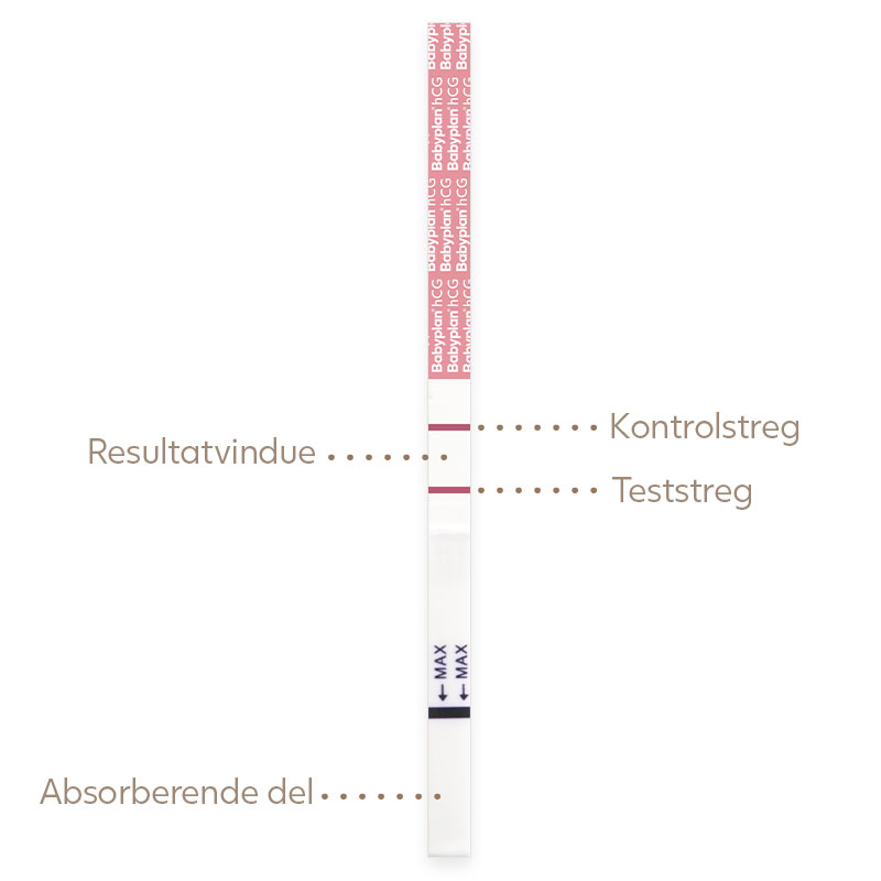 Babyplan Tidlig strimmel - Test for graviditet tidligere