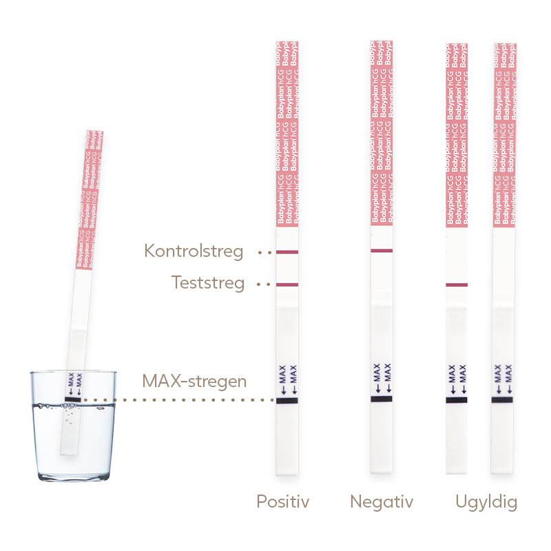 Babyplan Tidlig strimmel - Test for graviditet tidligere