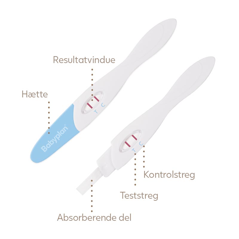 Babyplan - 15 ægløsningstest + 3 graviditetstest stav