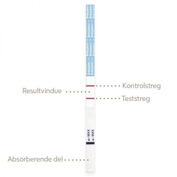 Babyplan ægløsningstest strimmel