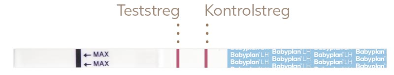 Positiv ægløsningstest 