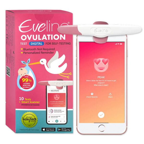 eveline-box-scanner