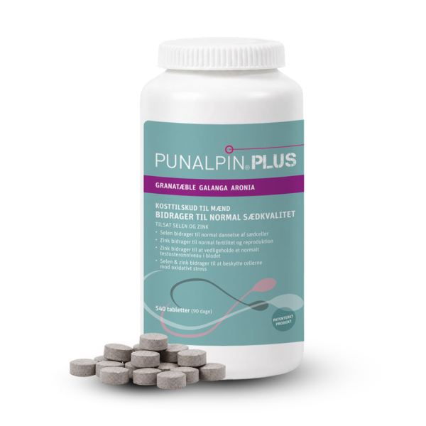 DK_PUNALPIN-PLUS-540-2026.png
