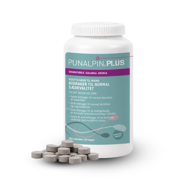 DK_PUNALPIN-PLUS-180-2026.png DK_PUNALPIN-PLUS-180-2026.png