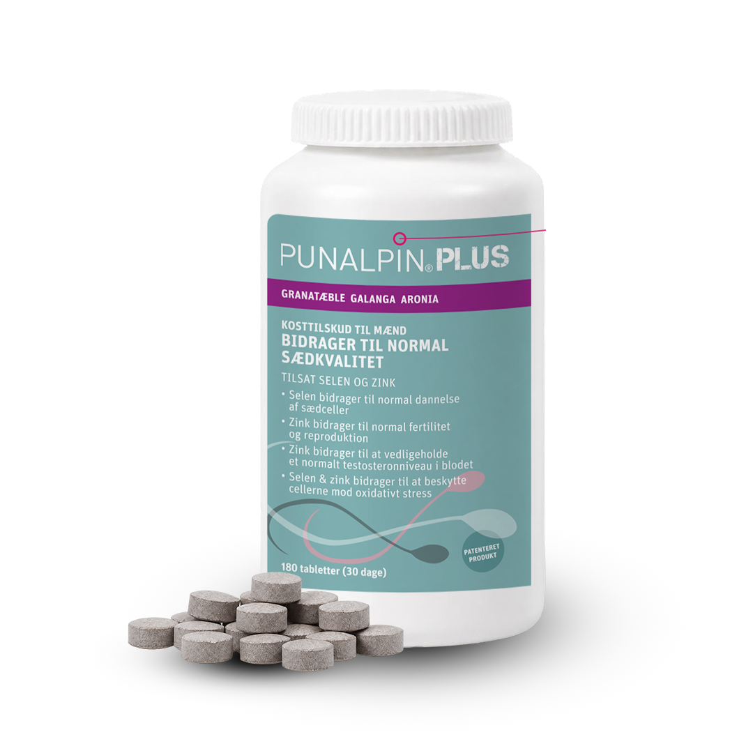 DK_PUNALPIN-PLUS-180-2026.png DK_PUNALPIN-PLUS-180-2026.png