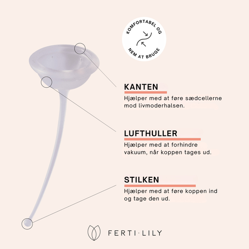 ferti-lily-gallery-2-DK.png ferti-lily-gallery-2-DK.png
